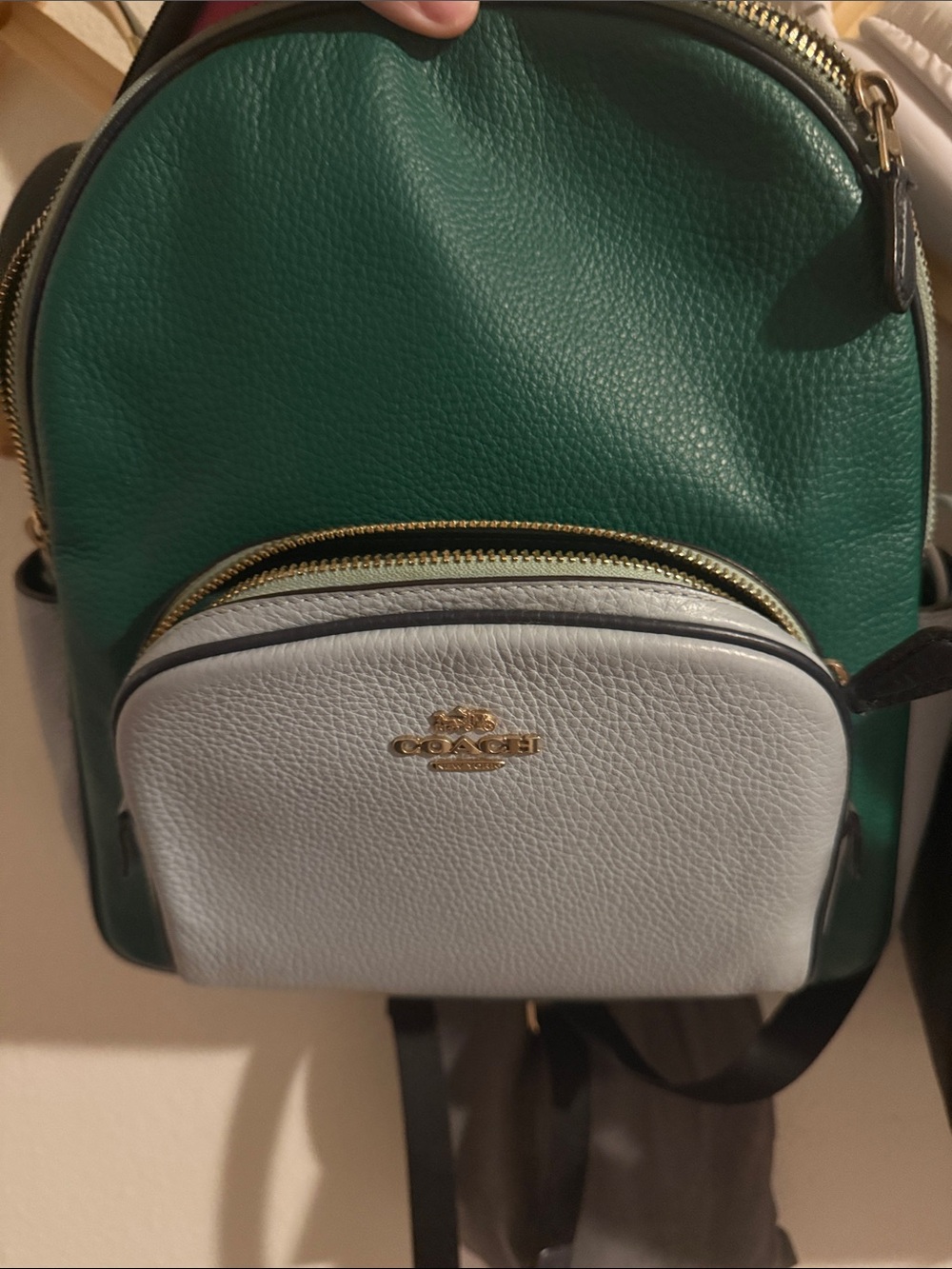 Coach Two-Tone Pebbled Leather Mini Backpack in Green & White